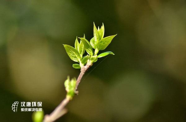 �ؑc�h�ƭh(hu��n)���O(sh��)�䣺����Gѿ