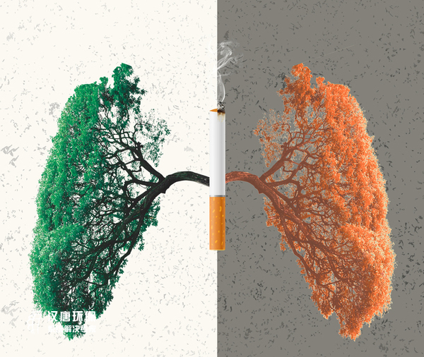 �ؑc�h�ƭh(hu��n)���O(sh��)�䣺�P(gu��n)�ķν���